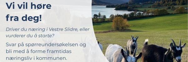 Lenkje til artikkel: Vi vil høyre frå deg – svar på spørjeundersøkinga om næringslivet i Vestre Slidre