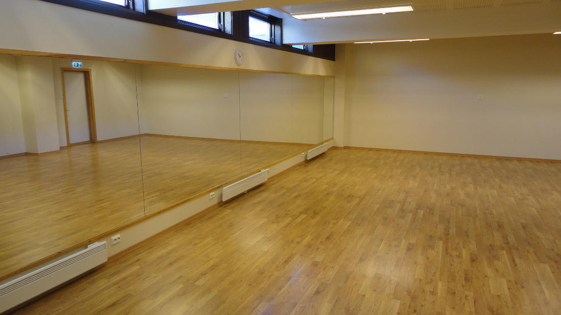 Dansesal - Klikk for stort bilete